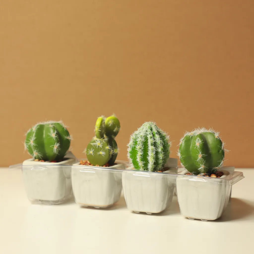 Ceramic Planter Set — photo 1