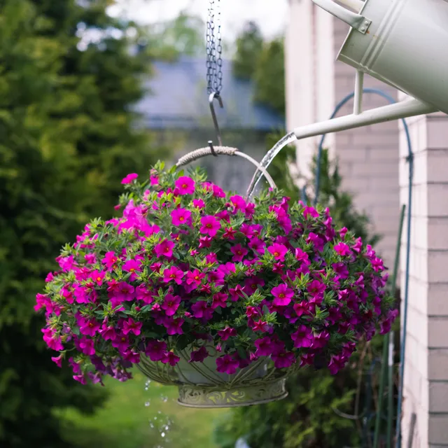Watering Can