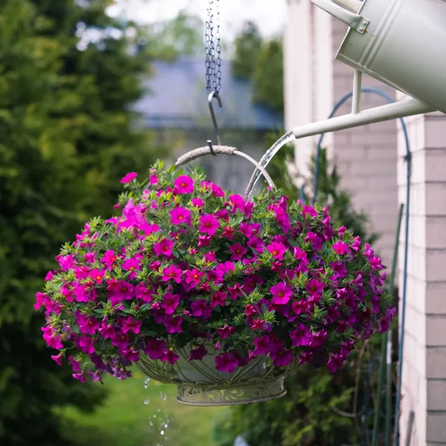Watering Can
